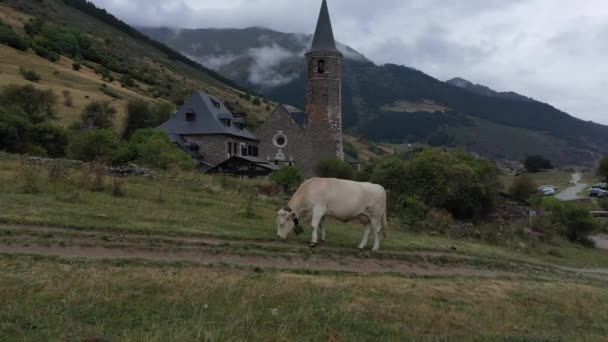 Widok Lotu Ptaka Wzgórze Montgarri Latem Tle Góry Pireneje Doliny — Wideo stockowe