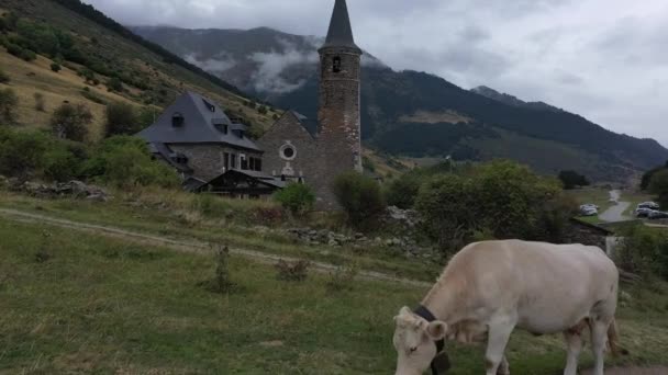 Aerial View Montgarri High Mountain Refuge Summer Pyrenees Mountains Aran — Vídeo de Stock