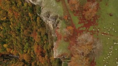 Nacedero de Urederra, Navarra, Kuzey İspanya 'da sonbahar sahnesinde hava manzarası.