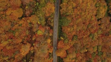 Aerial view of a winding road in the mountains in autumn season. Aerial view from a drone.