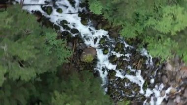 Aerial view of Uelhs deth Joeu Waterfall at Artiga de Lin in the Catalan Pyrenees