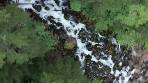 Вид Воздуха Водопад Джоу Артига Линь Пиренеях Каталонии — стоковое видео
