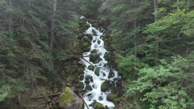 Aerial view of Uelhs deth Joeu Waterfall at Artiga de Lin in the Catalan Pyrenees