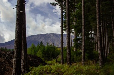 Etna volkan kraterlerinin Piyano Provenzana yakınlarındaki bulutlar arasındaki görüntüsü. Sicilya, İtalya