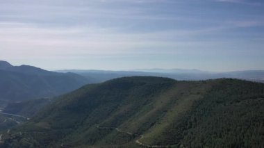Katalonya 'daki çam ağaçlı dağların hava videosu