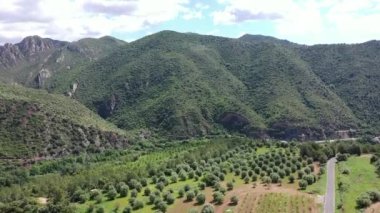 Katalonya 'daki çam ağaçlı dağların hava videosu