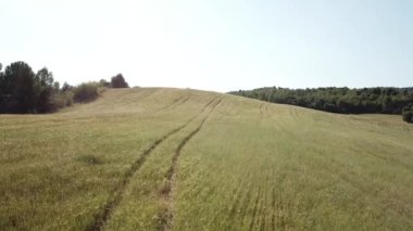Aerial view of mountain trails for mountaineers