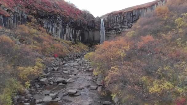 Güney Zlanda Bazalt Sütunlu Svartifoss Şelalesinin Hava Manzarası Skaftafell Ulusal — Stok video