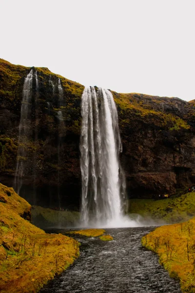 Водоспад Сельяландсфосс Ісландії Дивовижний Пейзаж Зеленою Квітковою Лукою — стокове фото
