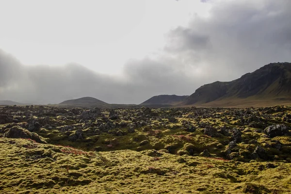 Pola Łąki Góry Islandii Bez Roślinności — Zdjęcie stockowe