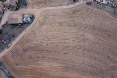 Katalonya, İspanya 'daki sarı buğday tarlalarının havadan görünüşü