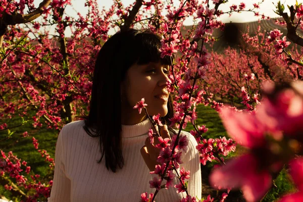 Lleida, İspanya 'da, güzel pembe şeftali çiçeklerinin arasında beyaz bir kadın..