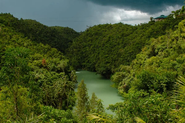 View of jungle green river Loboc at Bohol island of Philippines