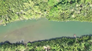 Filipinler 'de Busuanga Nehri manzarası