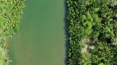 Filipinler 'de Busuanga Nehri manzarası