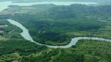Filipinler 'de Busuanga Nehri manzarası
