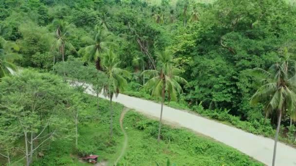 Luchtfoto Van Een Motorfiets Door Jungle Van Palawan Filippijnen — Stockvideo