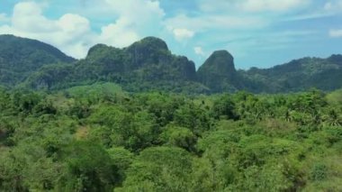 Filipinler, Palawan Ormanı manzarası. Bulutlu bir günde, bir bakış açısıyla.