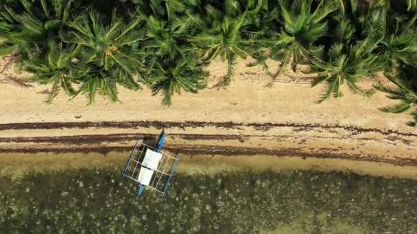 在菲律宾美丽的Ocam Ocam海滩上搁浅的一艘船的空中照片 — 图库视频影像