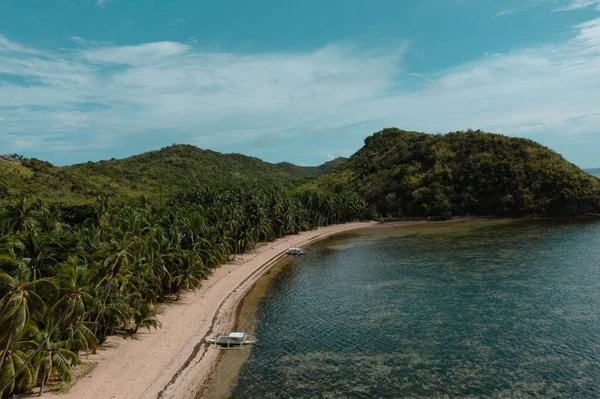 Tropik bir Filipin sahilinin havadan görünüşü, bir sürü palmiye ağacı ve tipik bir tekne. Ocam Ocam Plajı, Busuanga, Filipinler.