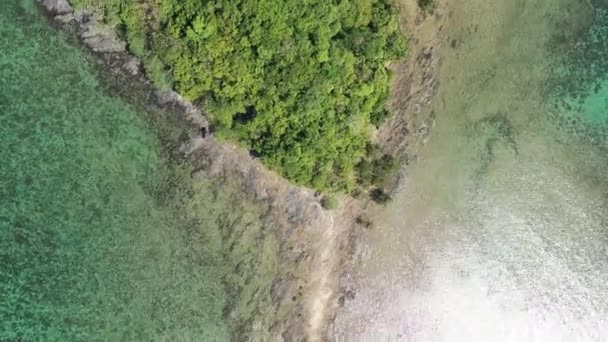 小さなパラダイス島の空想的な眺め トロピカルグリーンの植生がたくさんあり パラワンフィリピン ラスカバスビーチのデペットアイランド — ストック動画