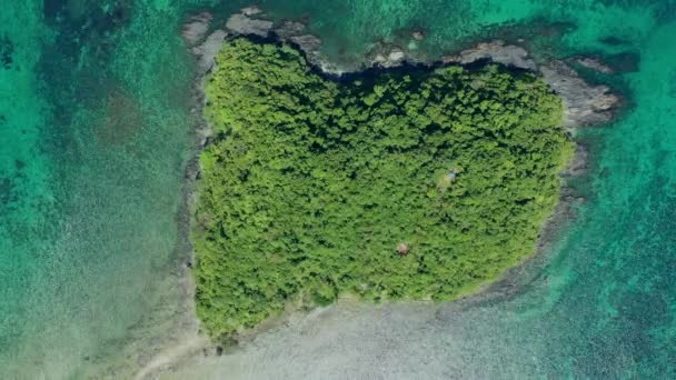 小さなパラダイス島の空想的な眺め トロピカルグリーンの植生がたくさんあり パラワンフィリピン ラスカバスビーチのデペットアイランド — ストック動画