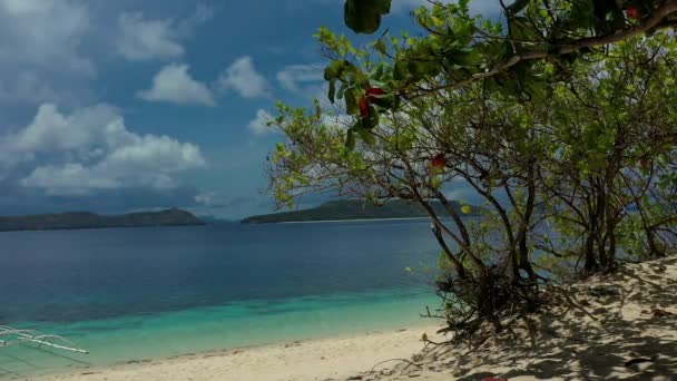 Vacker Tropisk Paradisstrand Med Vegetation Med Lugnt Hav Black Island — Stockvideo