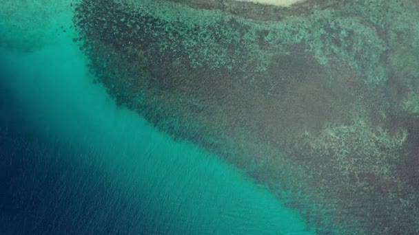 Widok Powietrza Piękny Raj Wyspie Pagtenga Kształcie Ryby Który Jest — Wideo stockowe