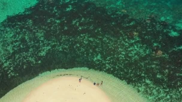 Vacker Antenn Utsikt Över Tropisk Paradisstrand Maltatayoc Filippinerna — Stockvideo