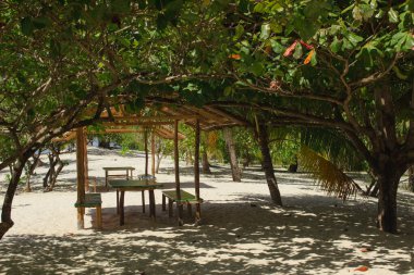 Filipinler 'deki sakin tropik cennet sahili manzarası. Güneşten koruyan kulübeler ve ağaçlarla, rüzgarla hareket eden yapraklarla..