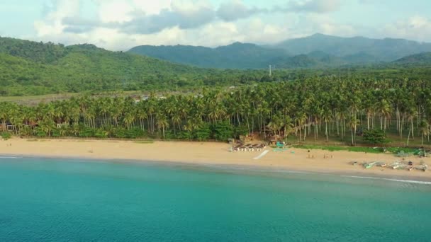 Widok Lotu Ptaka Pięknej Plaży Nacpan Pełnej Palm Słoneczny Dzień — Wideo stockowe