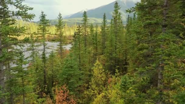 在加拿大班夫附近的一个多云的日子里 凡尔米利翁湖和满是松树的硫磺山美丽的空中风景 — 图库视频影像