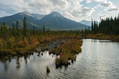 Kanada Banff yakınlarında bulutlu bir günde, sonbaharda, çam ağaçlarıyla dolu Vermilion Gölleri ve Sülfür Dağı 'nın güzel hava manzarası..