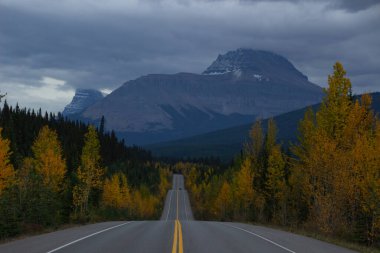 Kanada 'daki Icefield Parkway' in güzel düz yolu bulutlu bir günde sonbahar ağaçlarıyla.