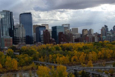 Kanada, Calgary 'de sonbaharda yüksek binaların ve ağaçların güzel manzarası.