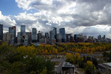 Kanada, Calgary 'de sonbaharda yüksek binaların ve ağaçların güzel manzarası.