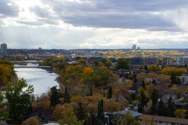 Kanada, Calgary 'de sonbaharda yüksek binaların ve ağaçların güzel manzarası.