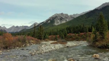 Kanada 'nın Rocky Dağları' ndaki inanılmaz Johnston Kanyonu 'nun hava manzarası. Güzel ağaçları, yüksek dağları ve nehri ile.