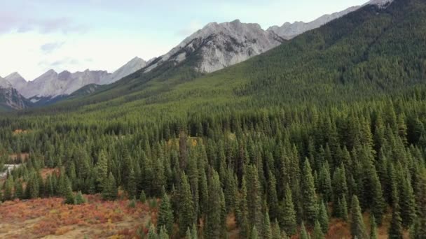 Letecký Pohled Neuvěřitelný Kaňon Johnston Kanadských Skalistých Horách Jeho Krásnými — Stock video