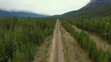 Ağaçlarla çevrili Kanada Rocky Dağları 'nı geçen tren raylarının hava görüntüsü..
