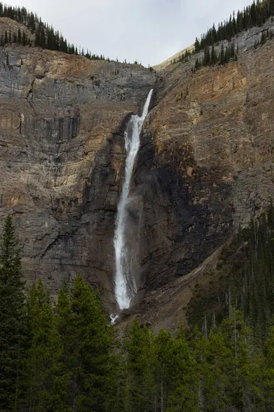 Takakkaw Falls bölgesi Yoho Ulusal Parkı İngiliz Kolombiyası Kanada