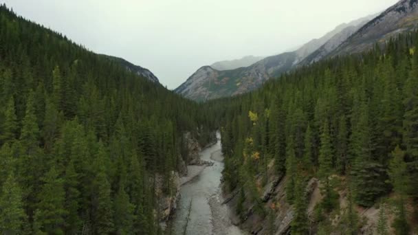 Pemandangan Udara Dari Stewart Canyon Danau Minnewanka Taman Nasional Banff — Stok Video