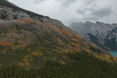 Mountain on Lake Minnewanka stripped of trees in autumn on a cloudy day. clipart