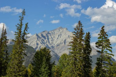 Banff 'tan Norquay Dağı' nın güzel manzarası, ağaçlarla çevrili, açık bir günde..