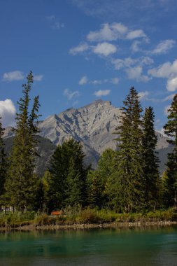 Banff 'tan Norquay Dağı' nın güzel manzarası, ağaçlarla çevrili, açık bir günde..