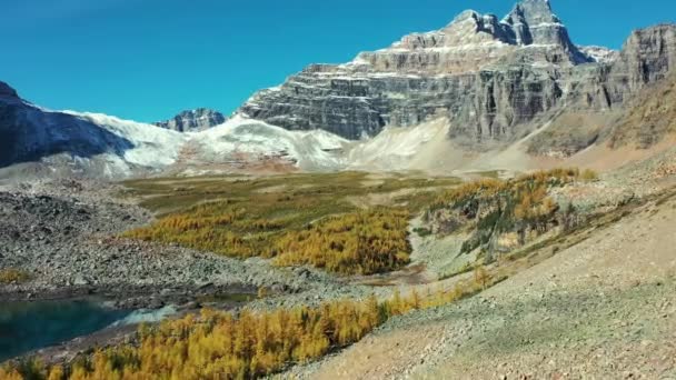 Ωραία Εναέρια Άποψη Του Wenkchemna Peak Λίγο Χιόνι Φθινόπωρο Κίτρινα — Αρχείο Βίντεο