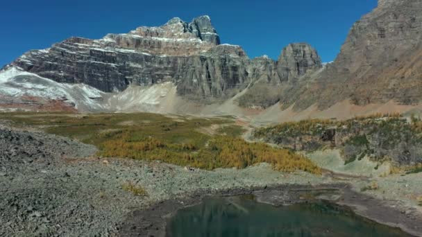 Ωραία Εναέρια Άποψη Του Wenkchemna Peak Και Λίμνη Του Άιφελ — Αρχείο Βίντεο