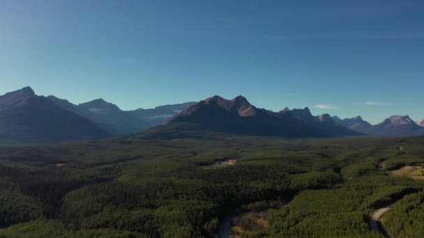 カナダのロッキーズの木で満たされたボウ川の飛行機とワプティックピークの空中ビュー — ストック動画