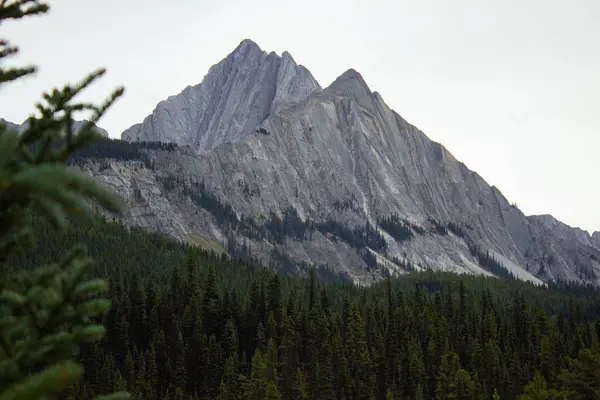 View of Mount Ishbel from the road to Ink Pots, surrounded by pine trees.