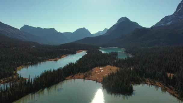 Вид Воздуха Спокойное Озеро Боу Красивыми Бирюзовыми Водами Канадских Скалистых — стоковое видео